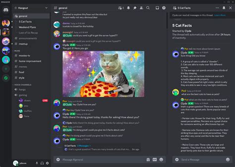 Top Conocer Gente Discord Servers 